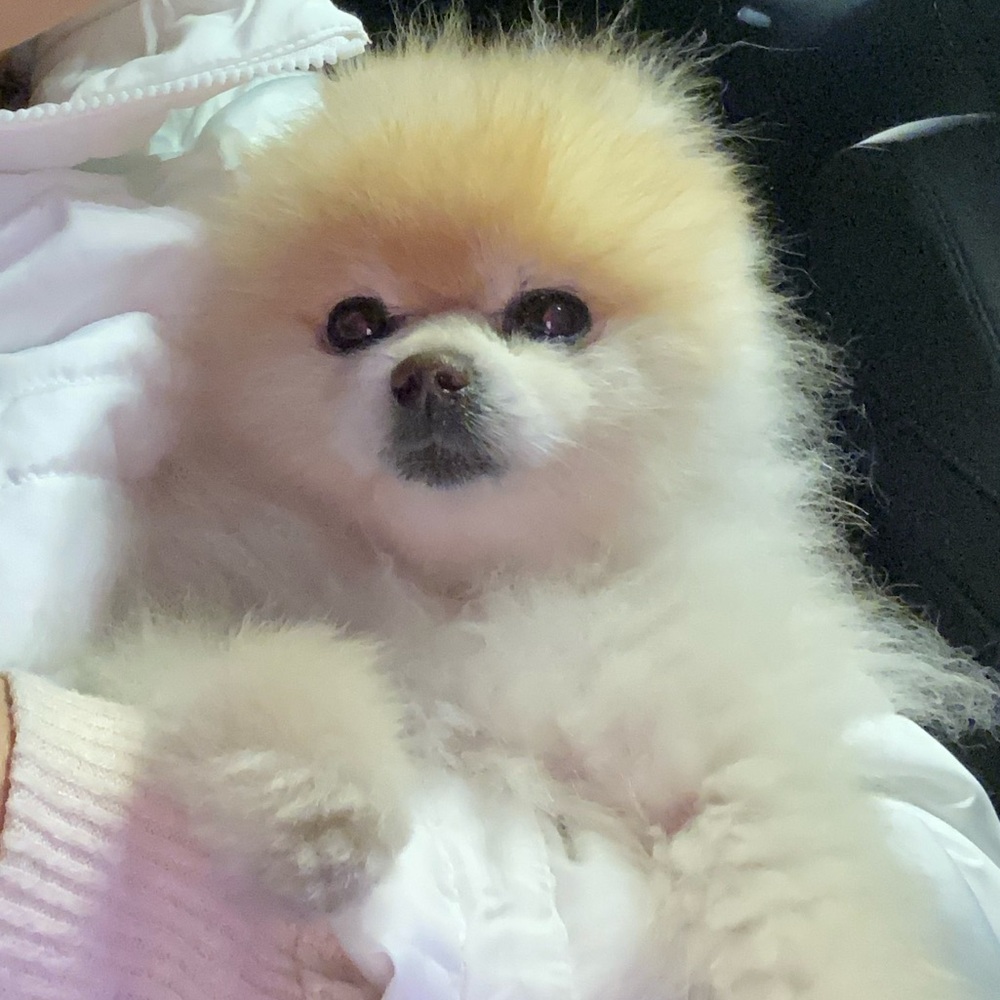 Meet your Posher, Christine